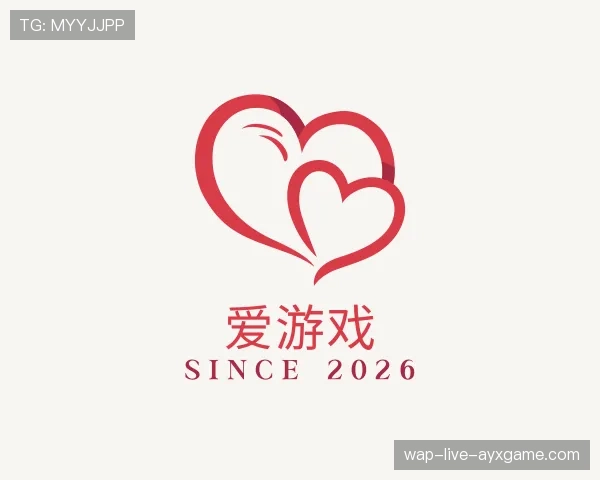 介绍爱游戏世界杯